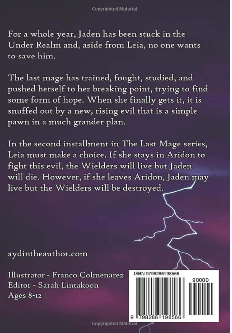 Into the Under Realm - The Last Mage Book 2